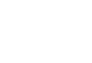 googlepay white