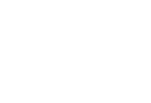 visa white
